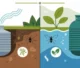 Comparison of bio septic tank and traditional septic system: eco-friendly waste breakdown vs. stagnant water with health risks Crystal Bio Septic Tank